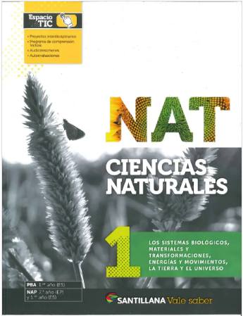 Sistemas 2ED Naturales 10